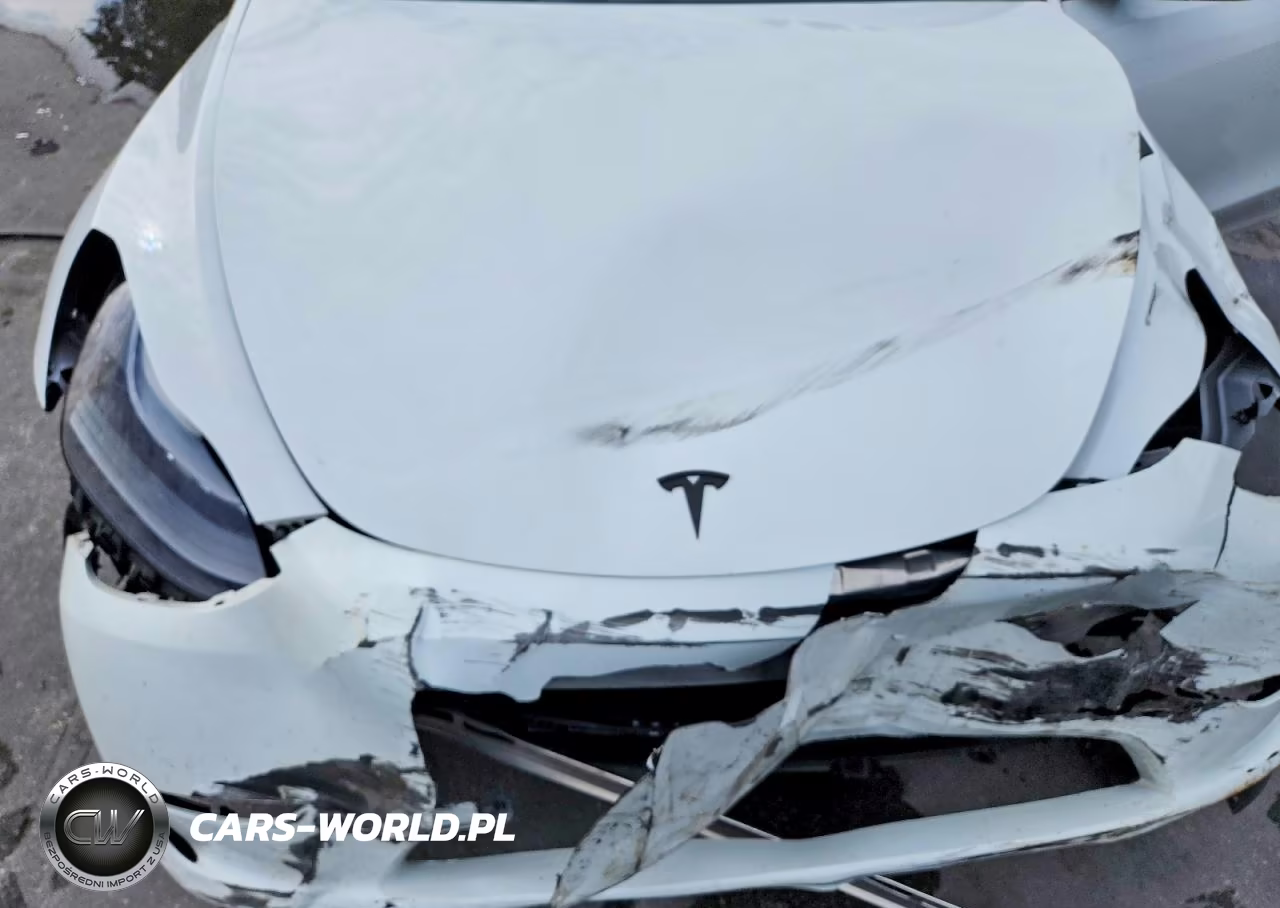 2024 Tesla Model Y VIN:7SAYGDED7RF102592 - 12