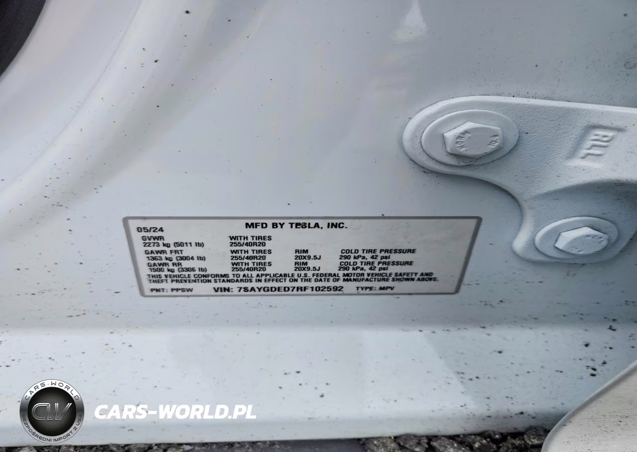 2024 Tesla Model Y VIN:7SAYGDED7RF102592 - 13