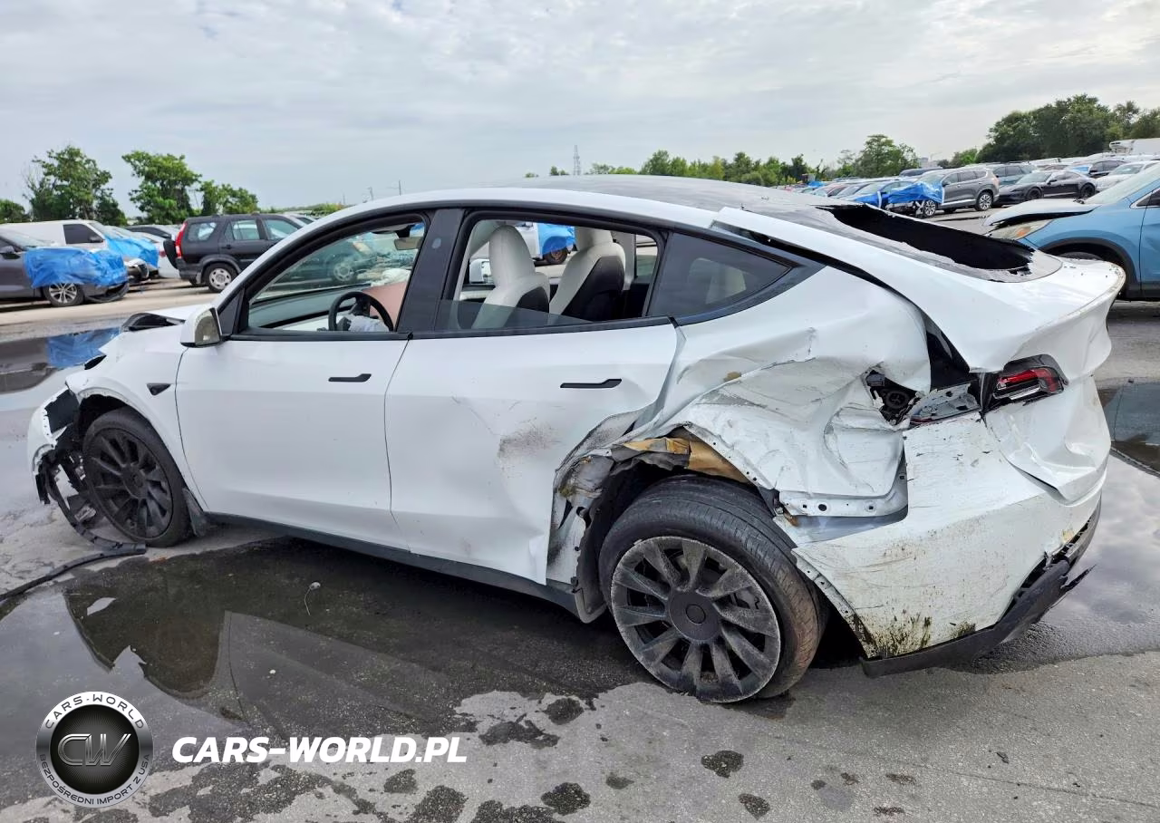 2024 Tesla Model Y VIN:7SAYGDED7RF102592 - 2