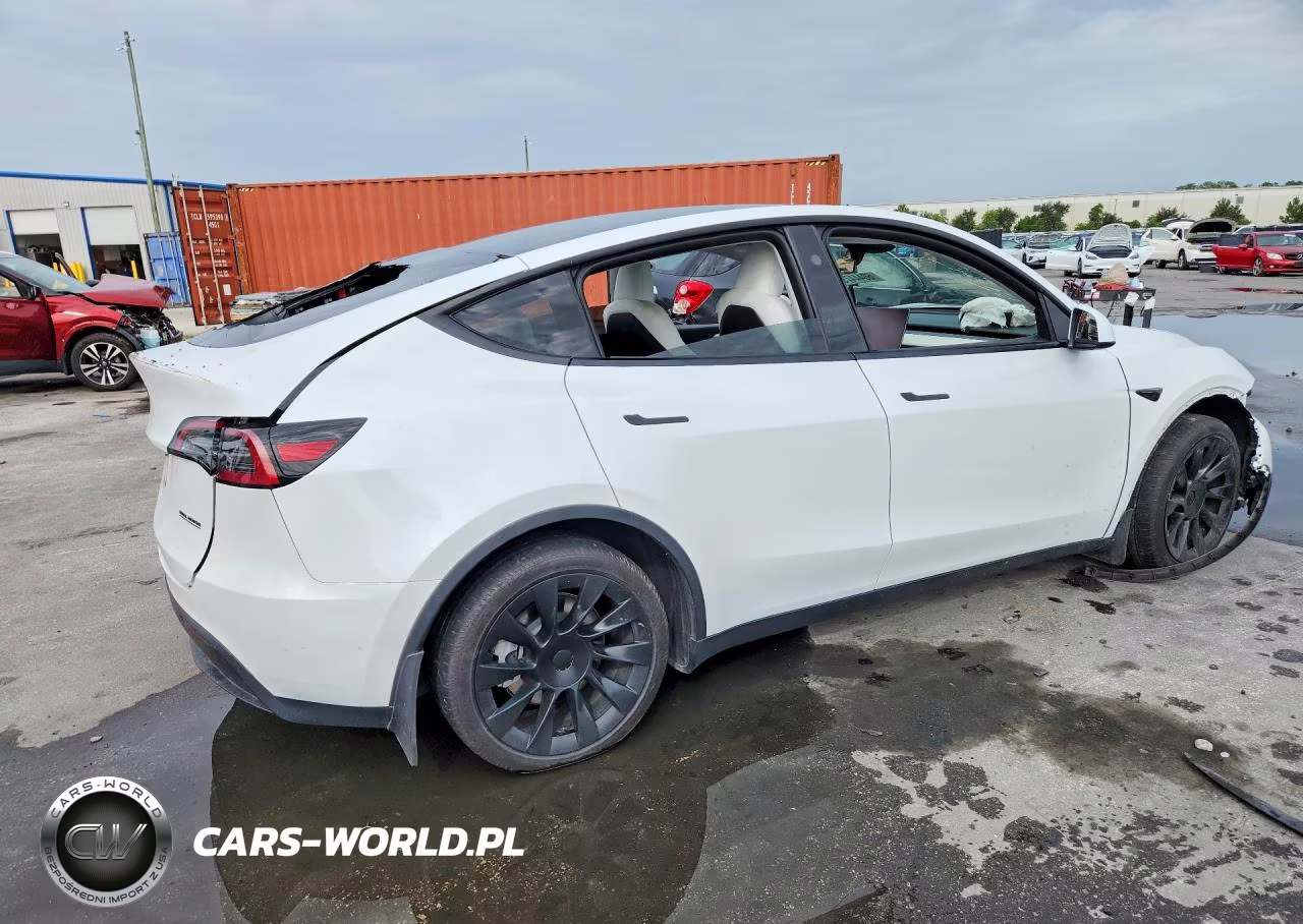 2024 Tesla Model Y VIN:7SAYGDED7RF102592 - 3