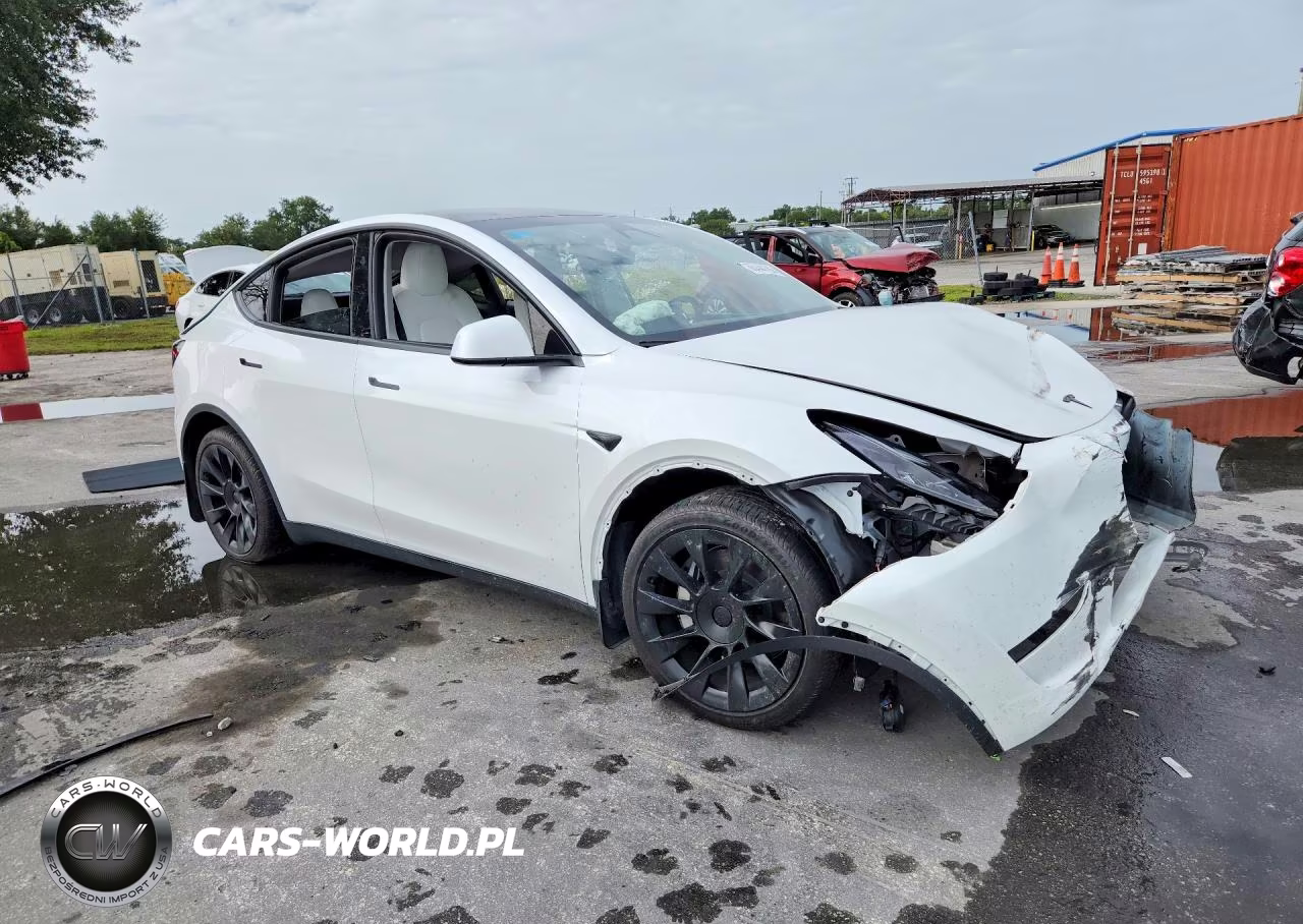 2024 Tesla Model Y VIN:7SAYGDED7RF102592 - 4