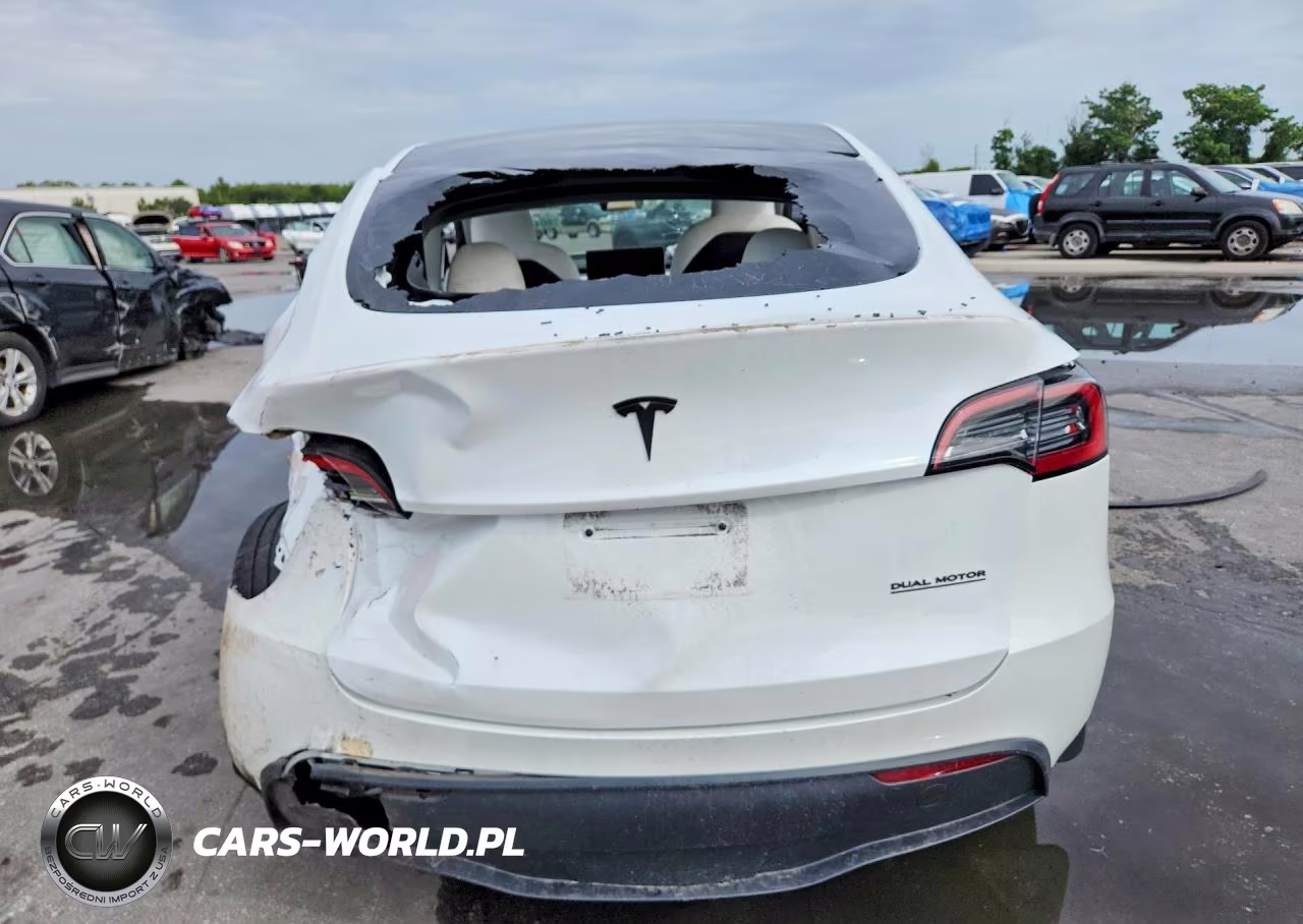2024 Tesla Model Y VIN:7SAYGDED7RF102592 - 6