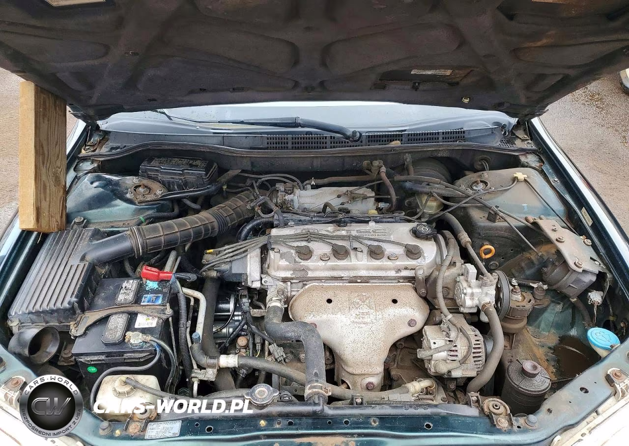 2000 Honda Accord Lx VIN:1HGCG5644YA125929 - 11