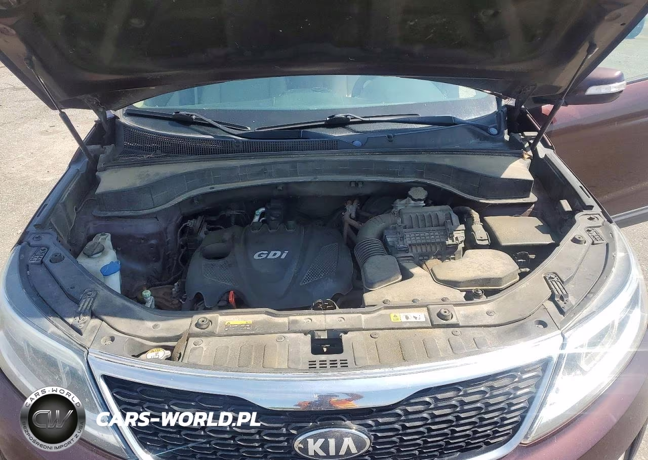 2014 Kia Sorento Lx VIN:5XYKT3A67EG479121 - 12