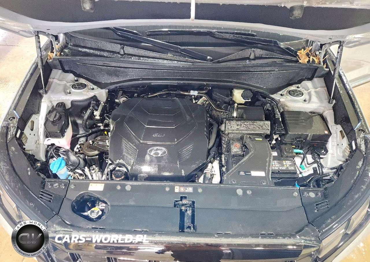 2025 Hyundai Palisade Sel VIN:KM8R2DGE4SU922692 - 12