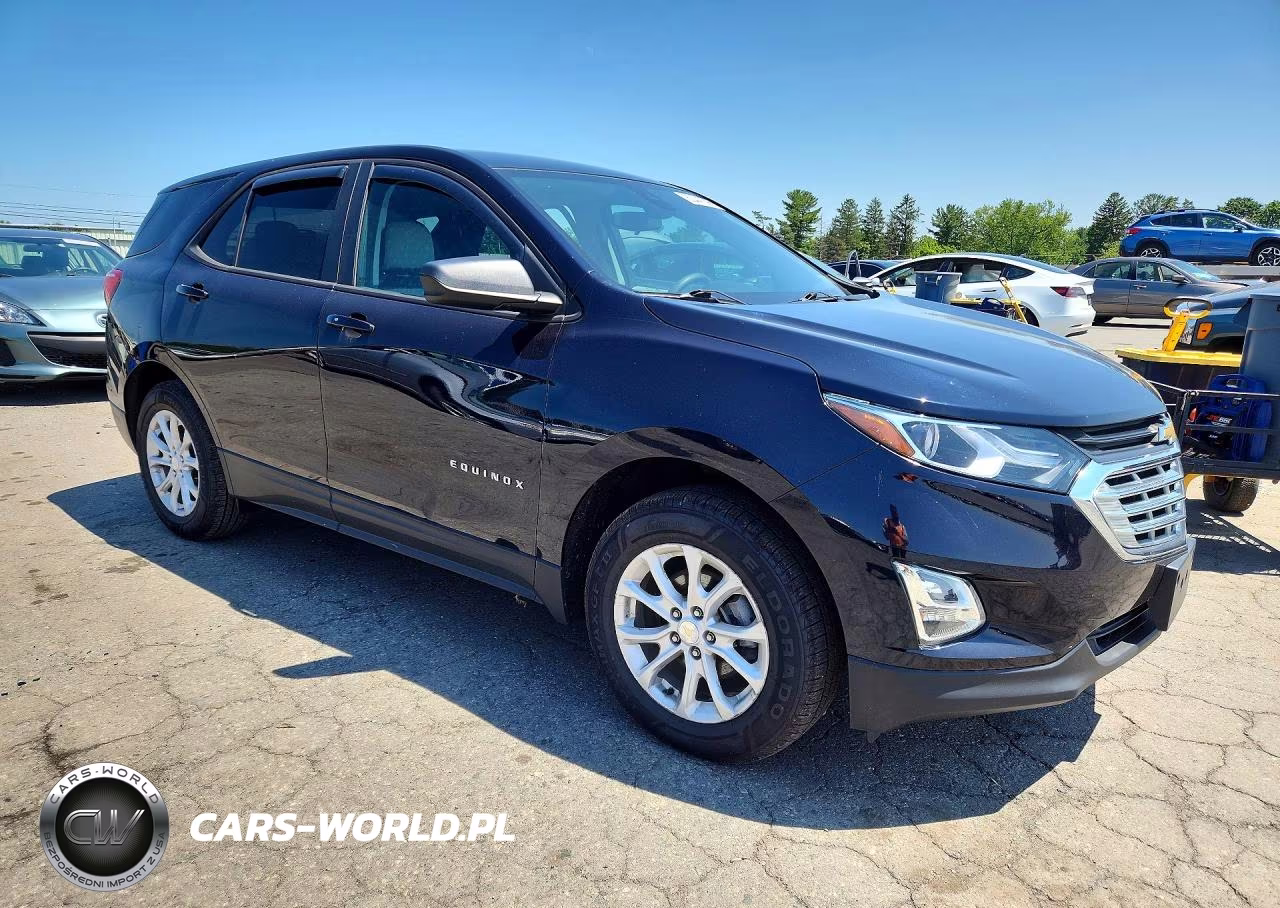 2020 Chevrolet Equinox Ls VIN:3GNAXSEV3LS718548 - 4