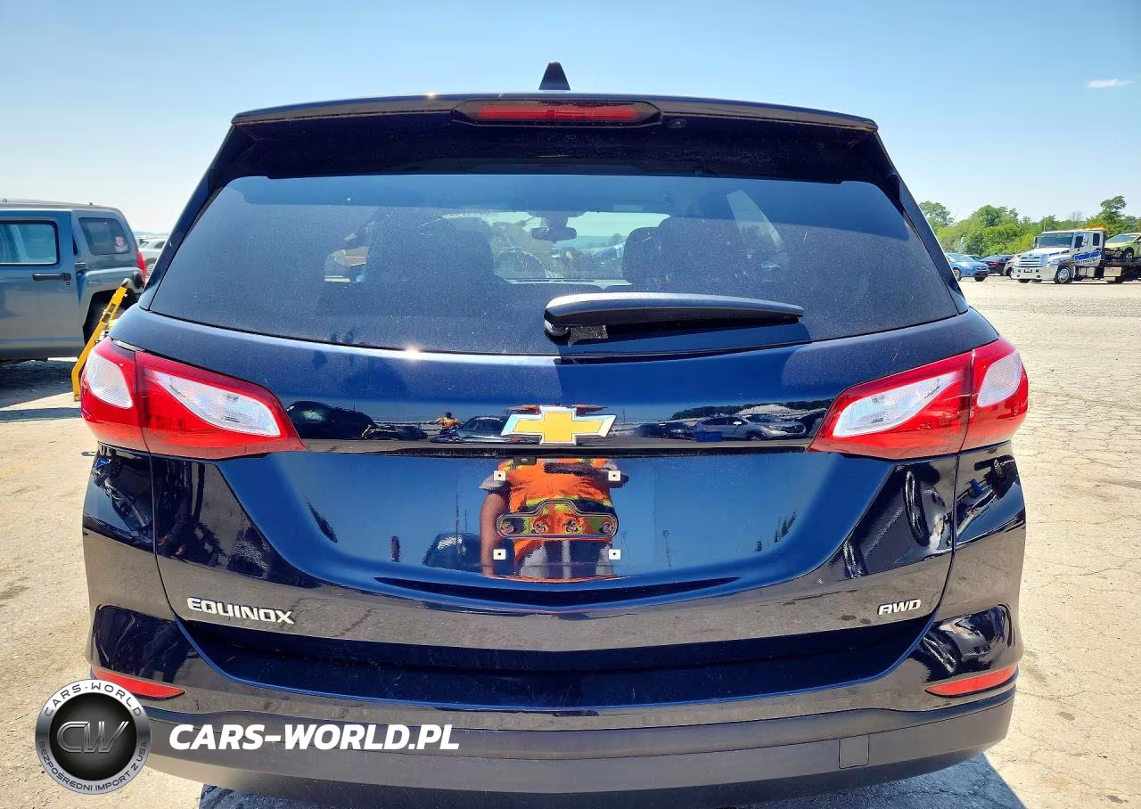 2020 Chevrolet Equinox Ls VIN:3GNAXSEV3LS718548 - 6