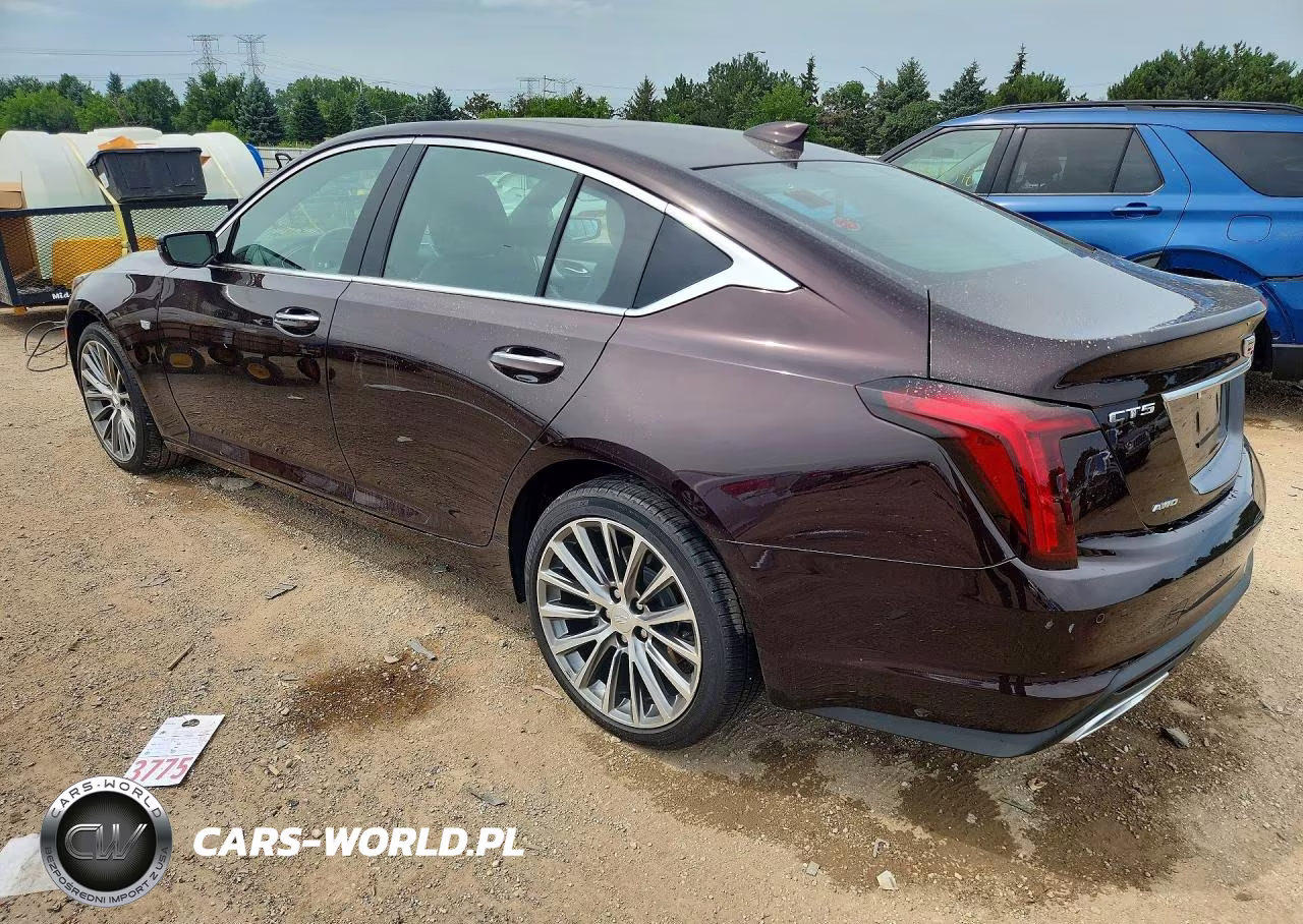 2020 Cadillac Ct5 Premium Luxury VIN:1G6DT5RW6L0153213 - 2
