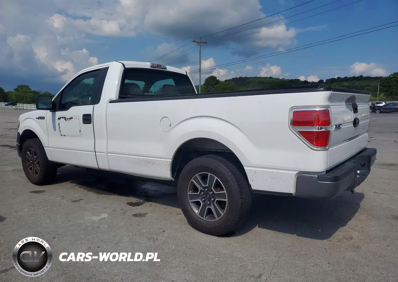 2009 Ford F150 VIN:1FTRF12W19KB33073 - 2