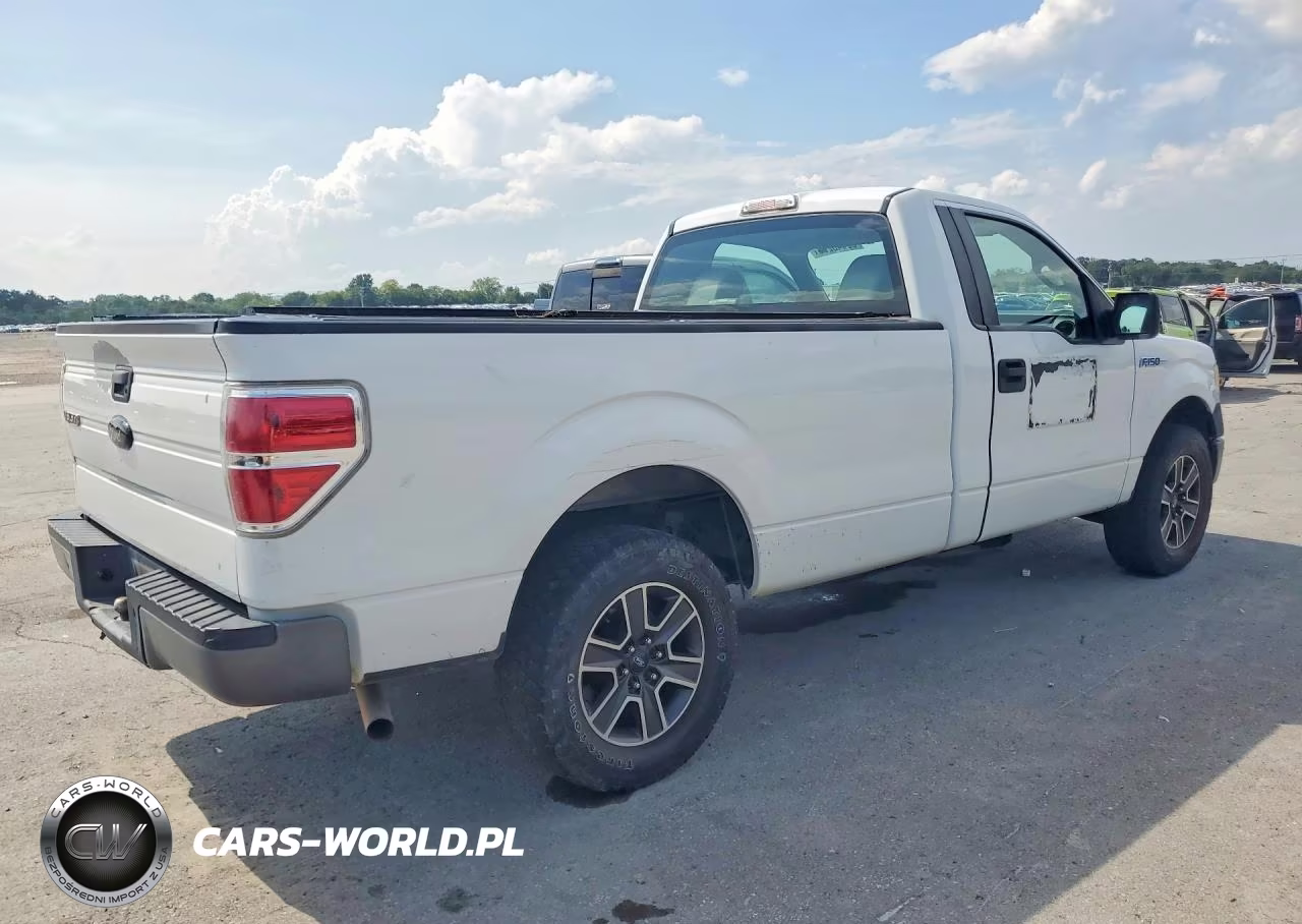 2009 Ford F150 VIN:1FTRF12W19KB33073 - 3