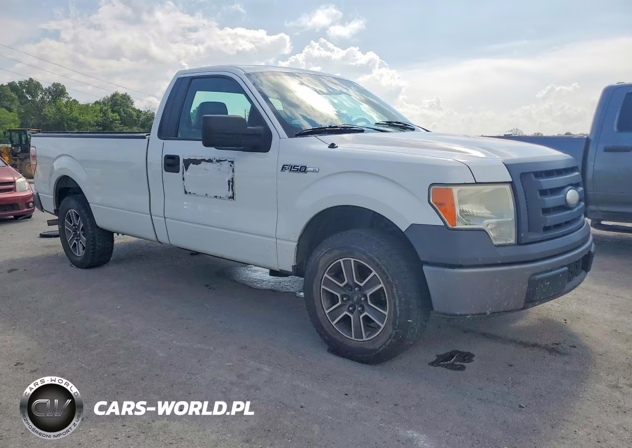 2009 Ford F150 VIN:1FTRF12W19KB33073 - 4