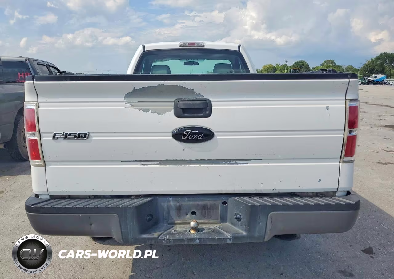 2009 Ford F150 VIN:1FTRF12W19KB33073 - 6