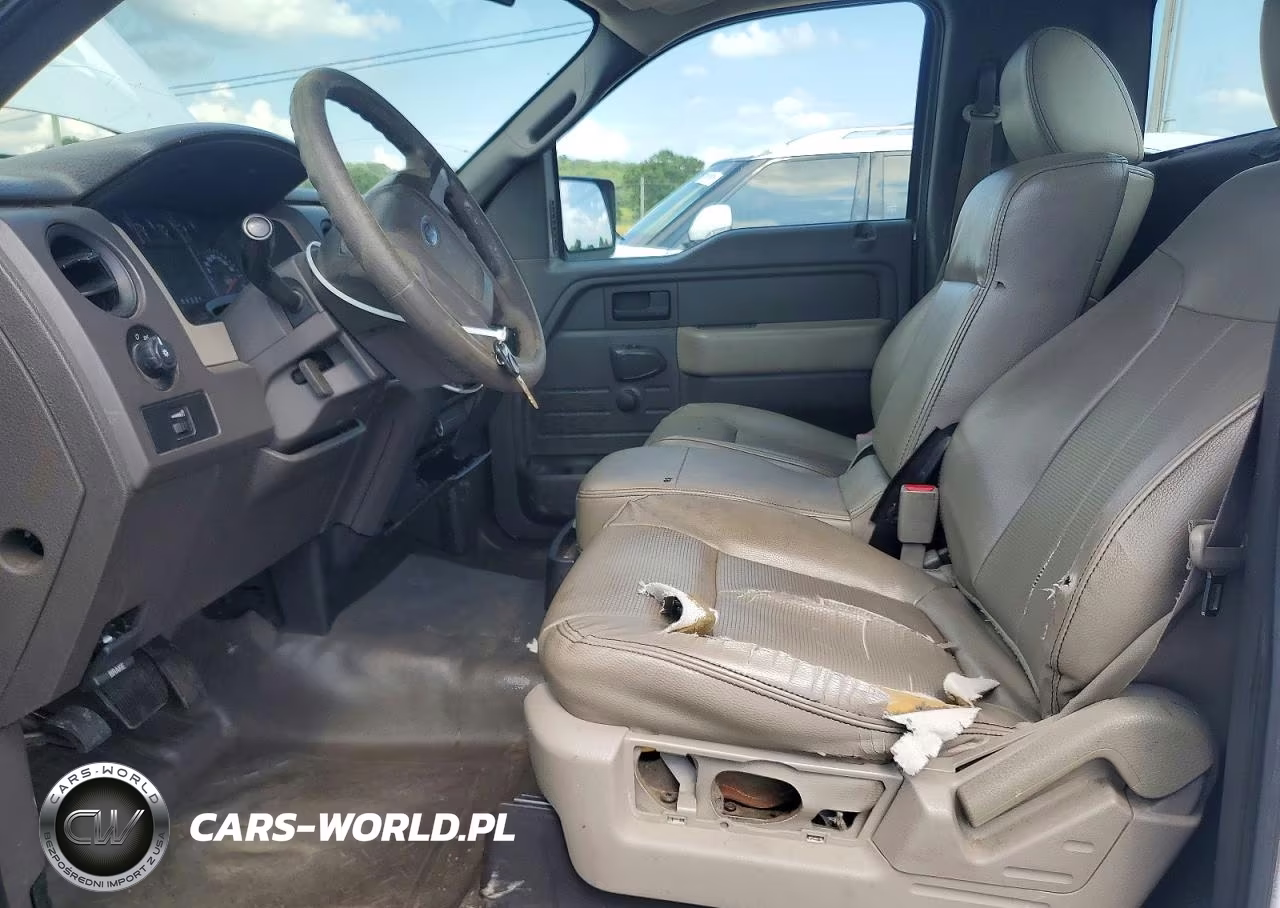 2009 Ford F150 VIN:1FTRF12W19KB33073 - 7