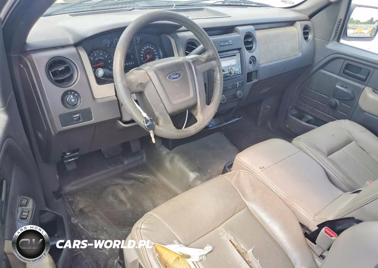 2009 Ford F150 VIN:1FTRF12W19KB33073 - 8
