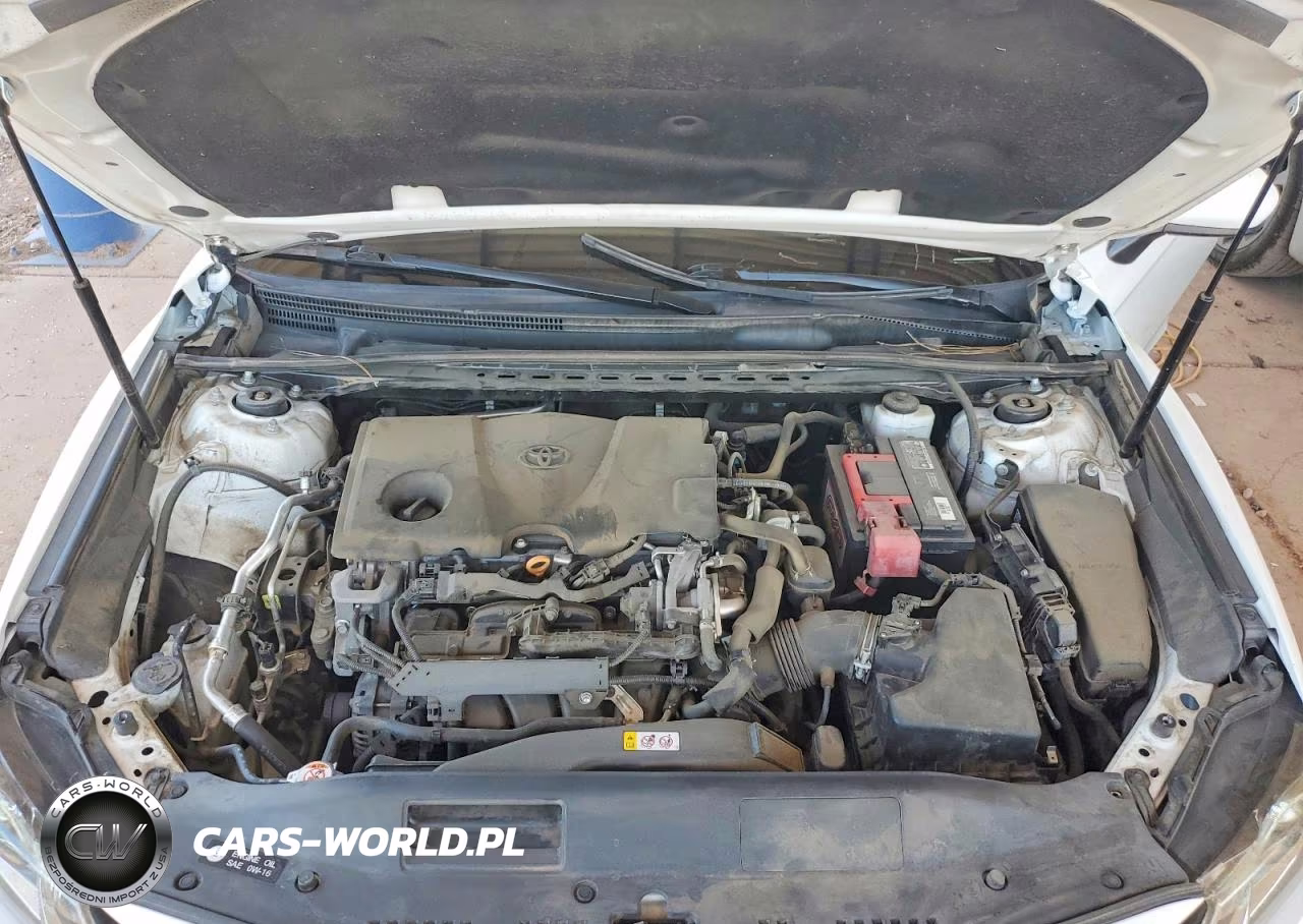 2019 Toyota Camry Le VIN:4T1B11HK5KU762619 - 11