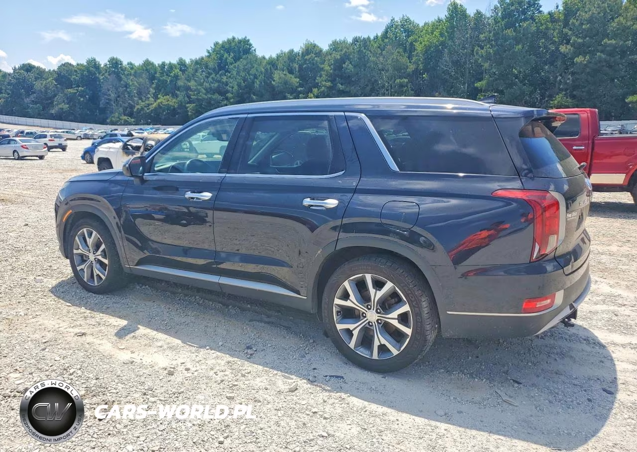 2020 Hyundai Palisade Sel VIN:KM8R44HE0LU110171 - 2