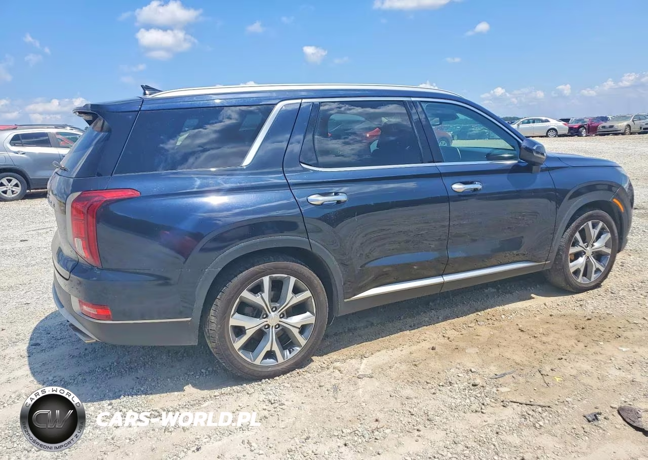 2020 Hyundai Palisade Sel VIN:KM8R44HE0LU110171 - 3