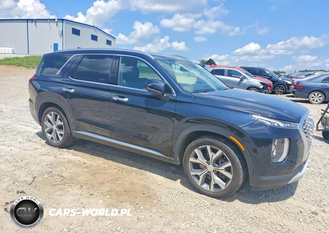 2020 Hyundai Palisade Sel VIN:KM8R44HE0LU110171 - 4
