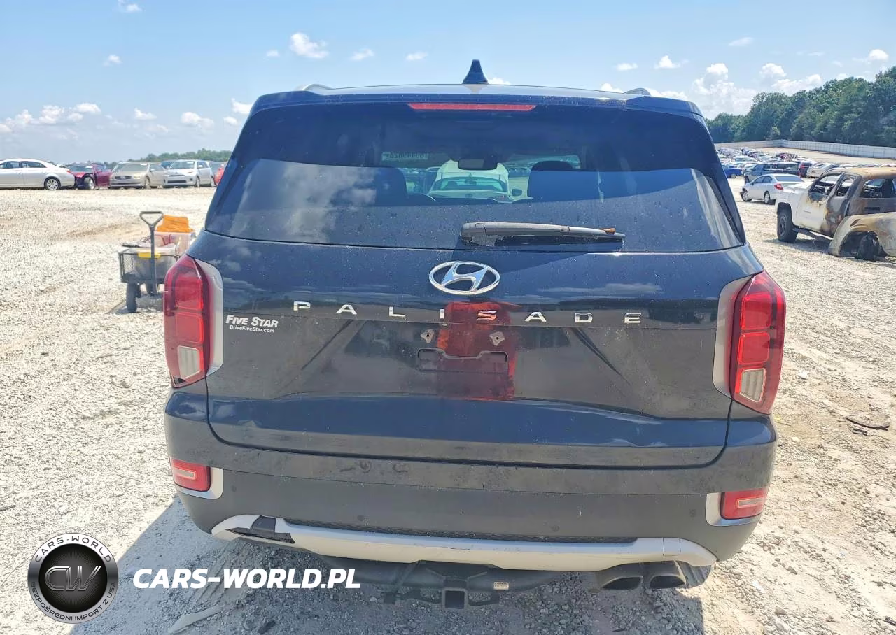 2020 Hyundai Palisade Sel VIN:KM8R44HE0LU110171 - 6