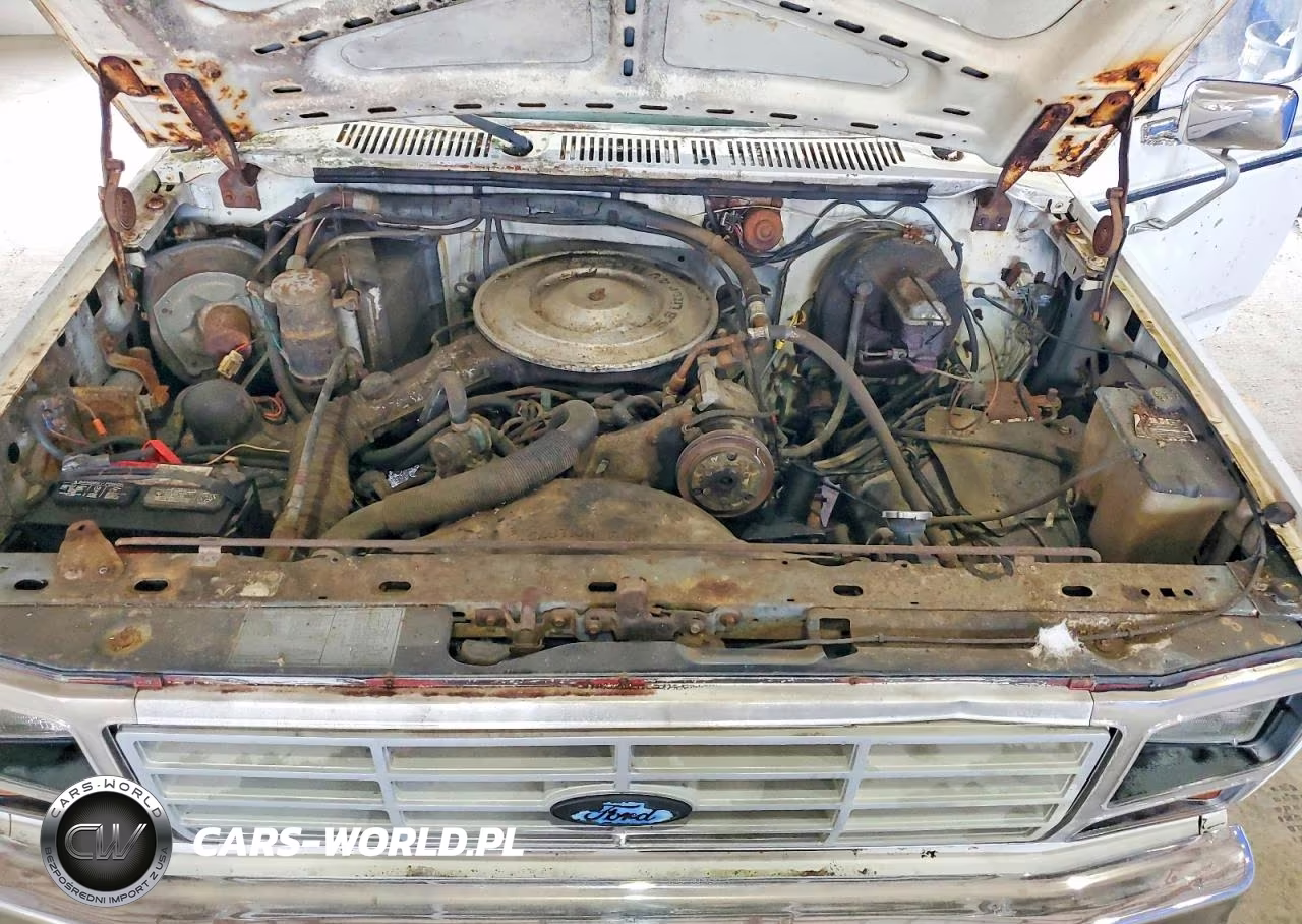 1985 Ford F150 VIN:1FTCF15HXFLA31523 - 11