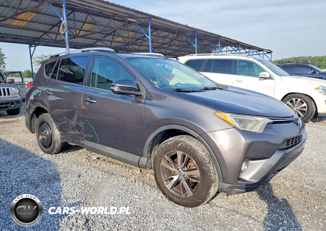 2016 Toyota Rav4 Xle VIN:2T3RFREV8GW500136 - 4