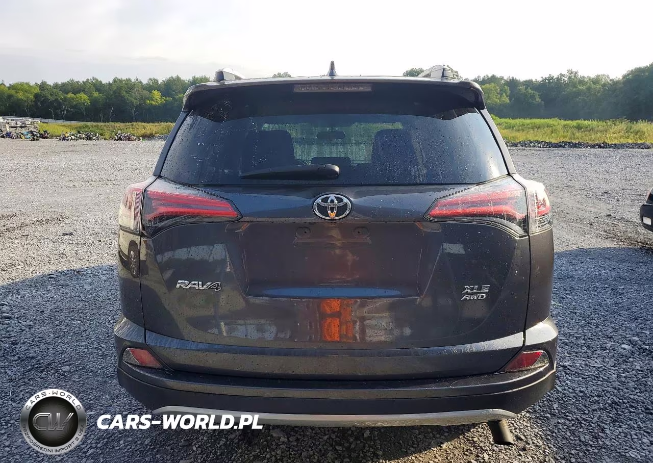 2016 Toyota Rav4 Xle VIN:2T3RFREV8GW500136 - 6