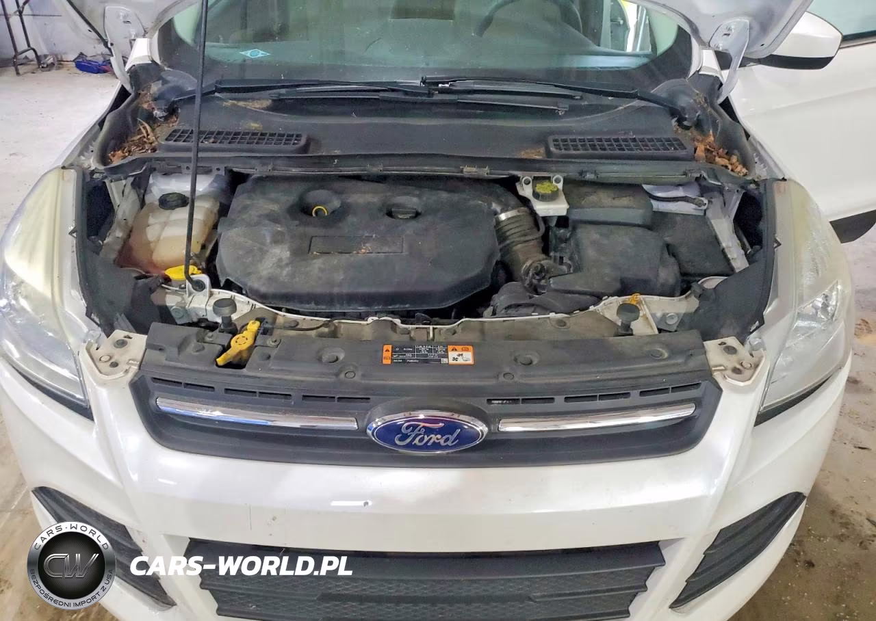 2016 Ford Escape Se VIN:1FMCU9G9XGUA74373 - 12
