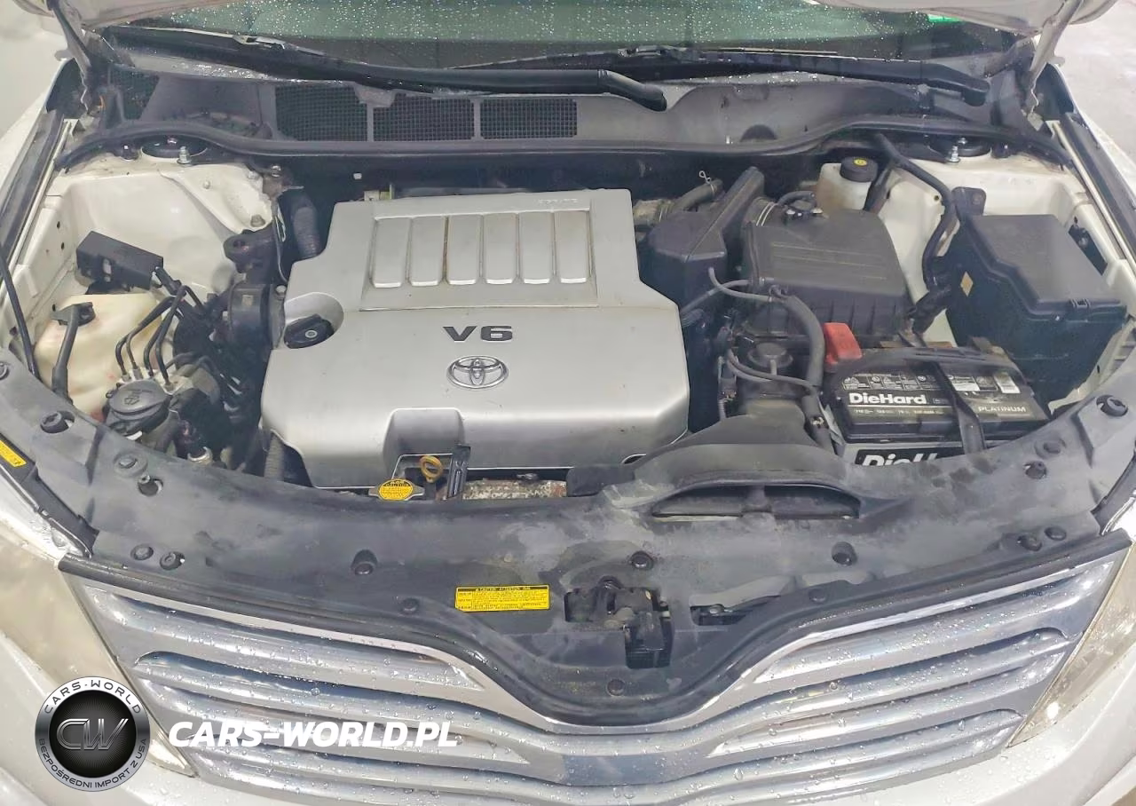 2009 Toyota Venza VIN:4T3BK11A29U001434 - 12