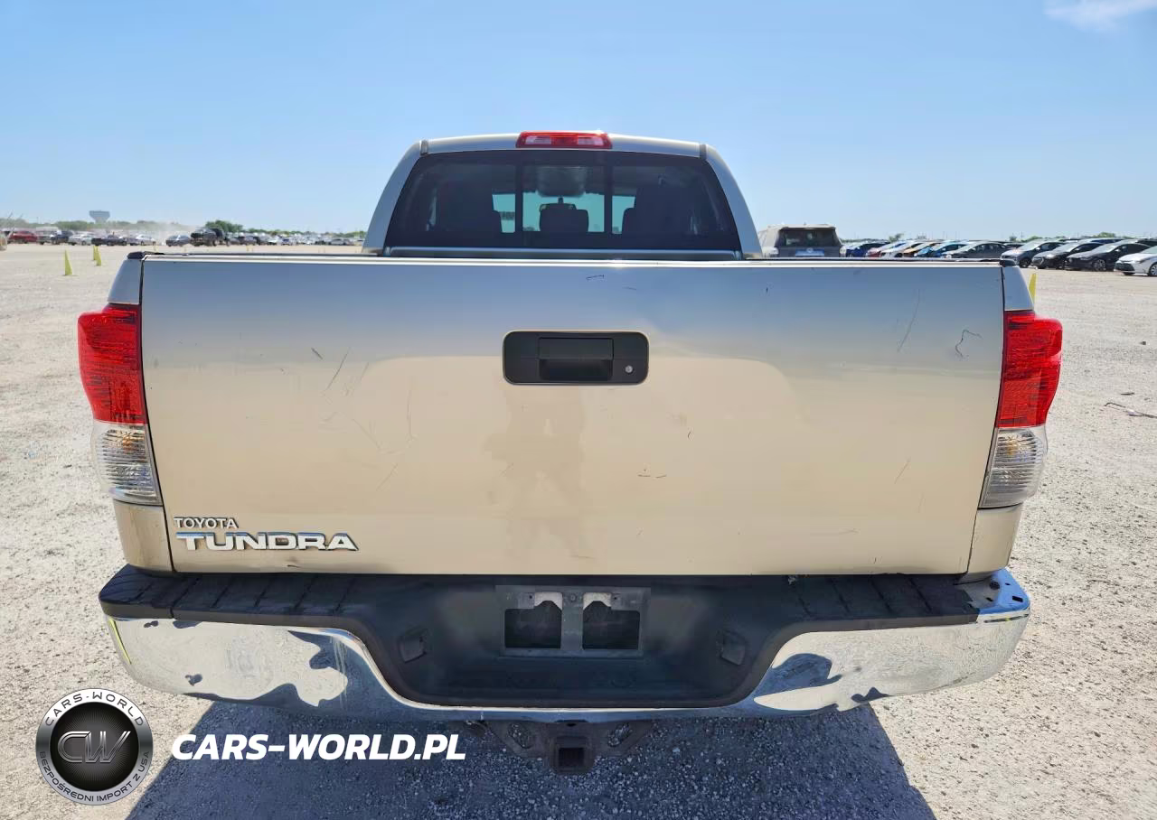 2010 Toyota Tundra Double Cab Sr5 VIN:5TFRM5F1XAX017633 - 6