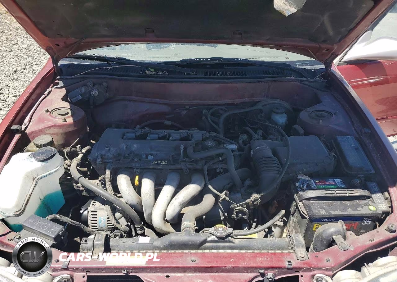 2002 Toyota Corolla Le VIN:1NXBR12E82Z612922 - 11