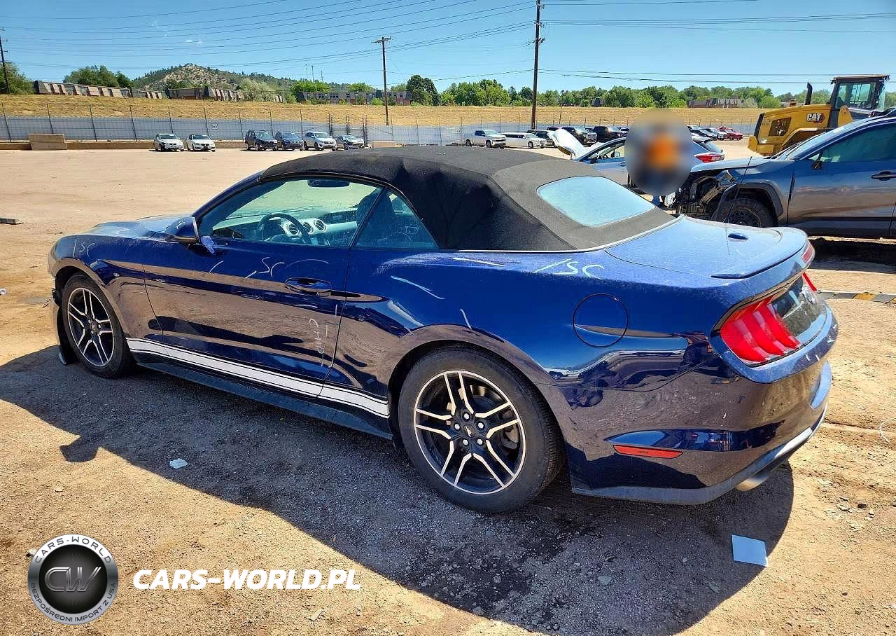 2018 Ford Mustang VIN:1FATP8UH2J5157062 - 2