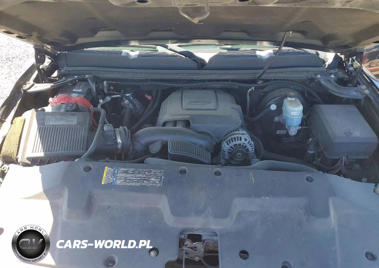 2009 Chevrolet Silverado K1500 Lt VIN:1GCEK29099Z290486 - 11