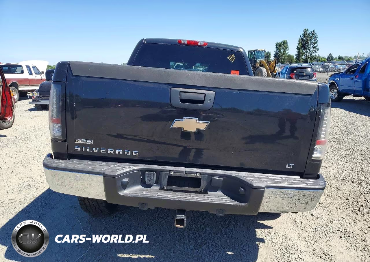 2009 Chevrolet Silverado K1500 Lt VIN:1GCEK29099Z290486 - 6