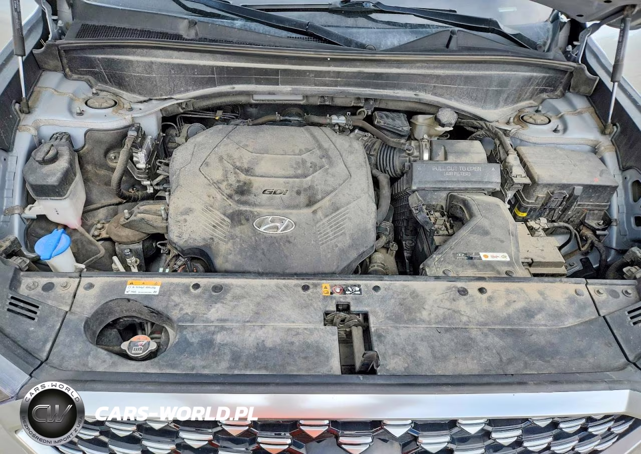 2021 Hyundai Palisade Calligraphy VIN:KM8R7DHE9MU308949 - 12