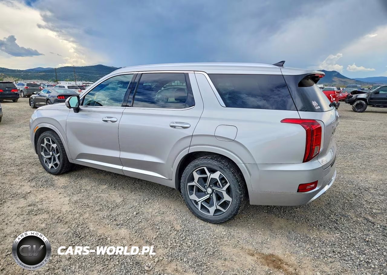 2021 Hyundai Palisade Calligraphy VIN:KM8R7DHE9MU308949 - 2