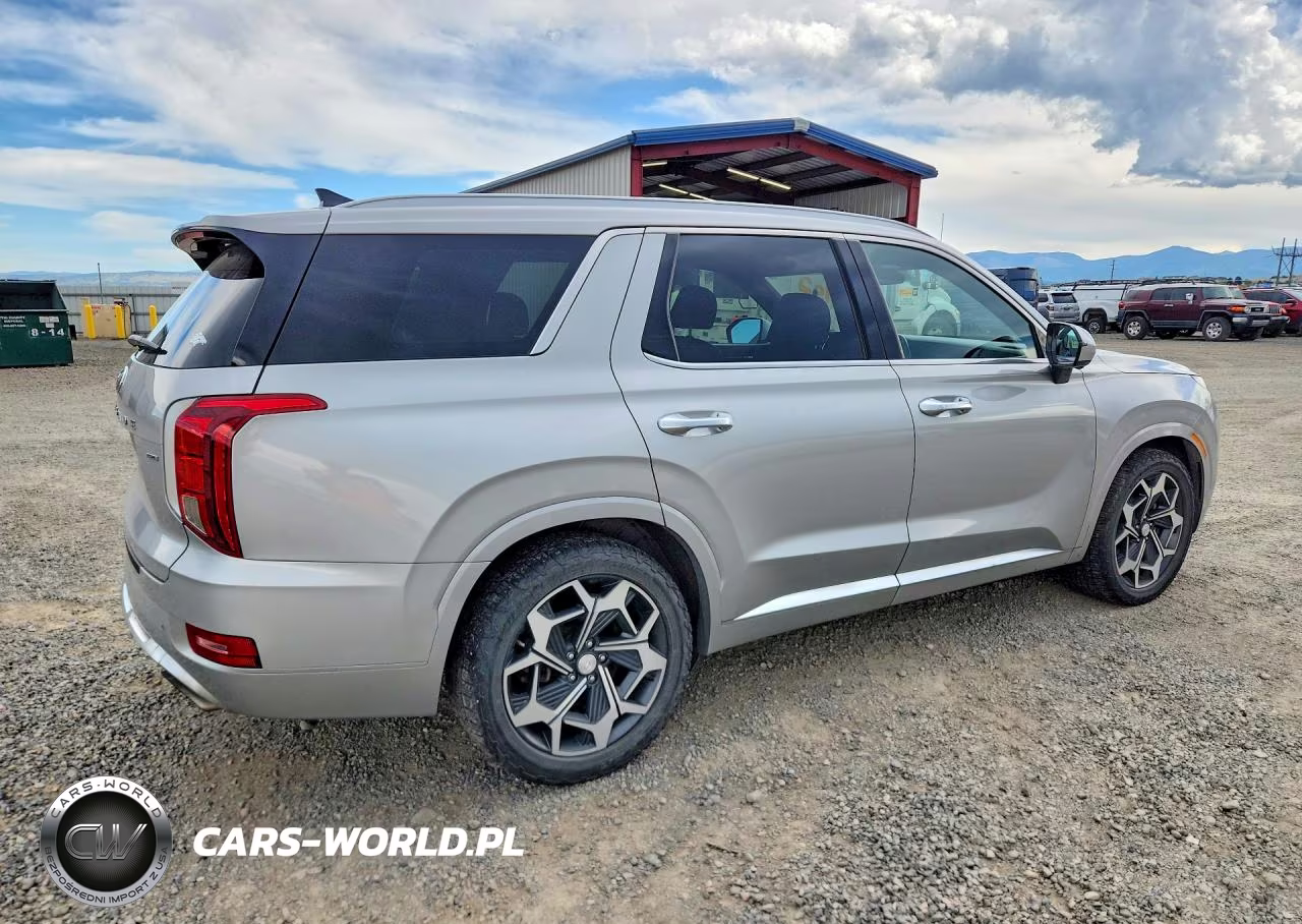 2021 Hyundai Palisade Calligraphy VIN:KM8R7DHE9MU308949 - 3