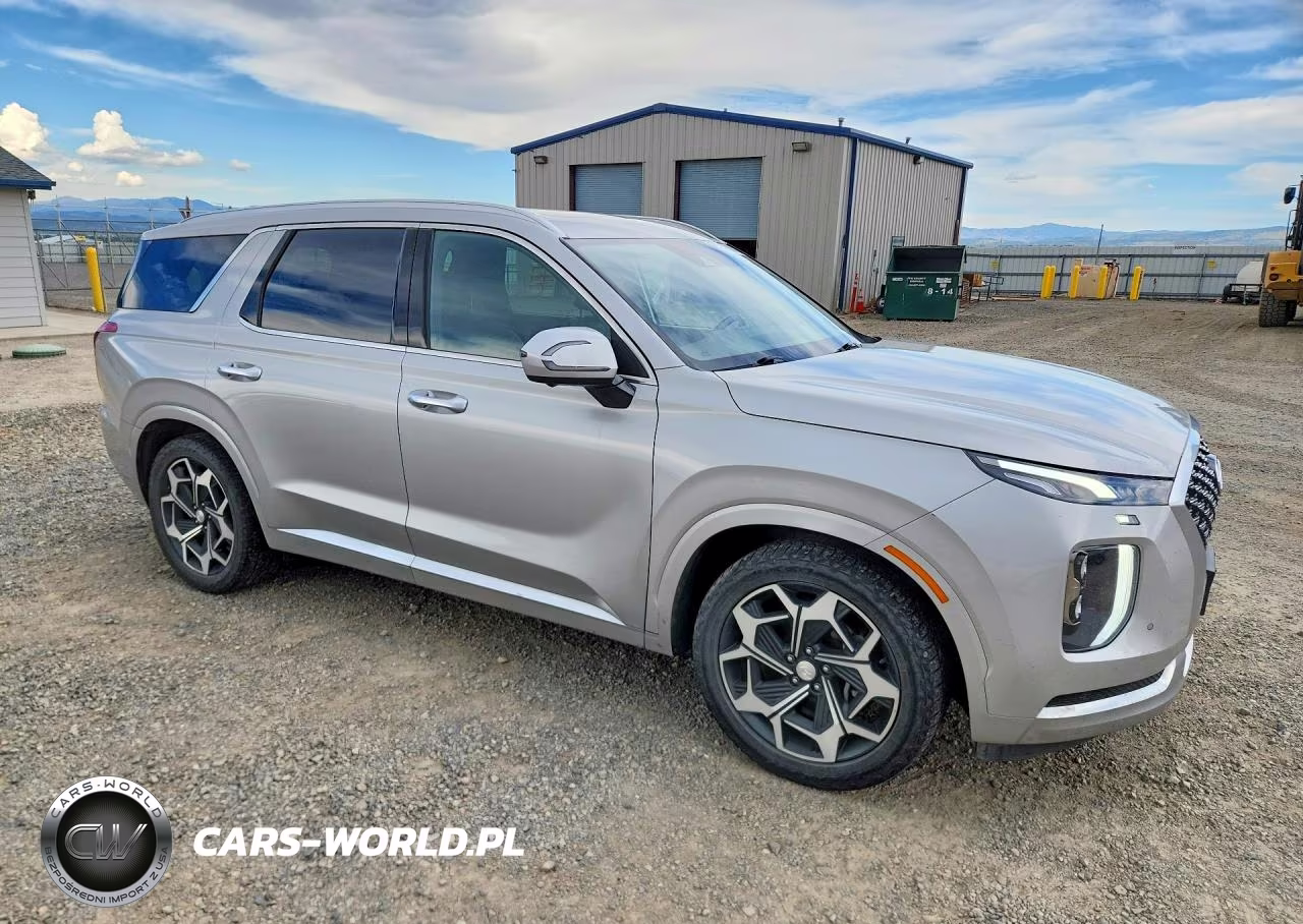 2021 Hyundai Palisade Calligraphy VIN:KM8R7DHE9MU308949 - 4