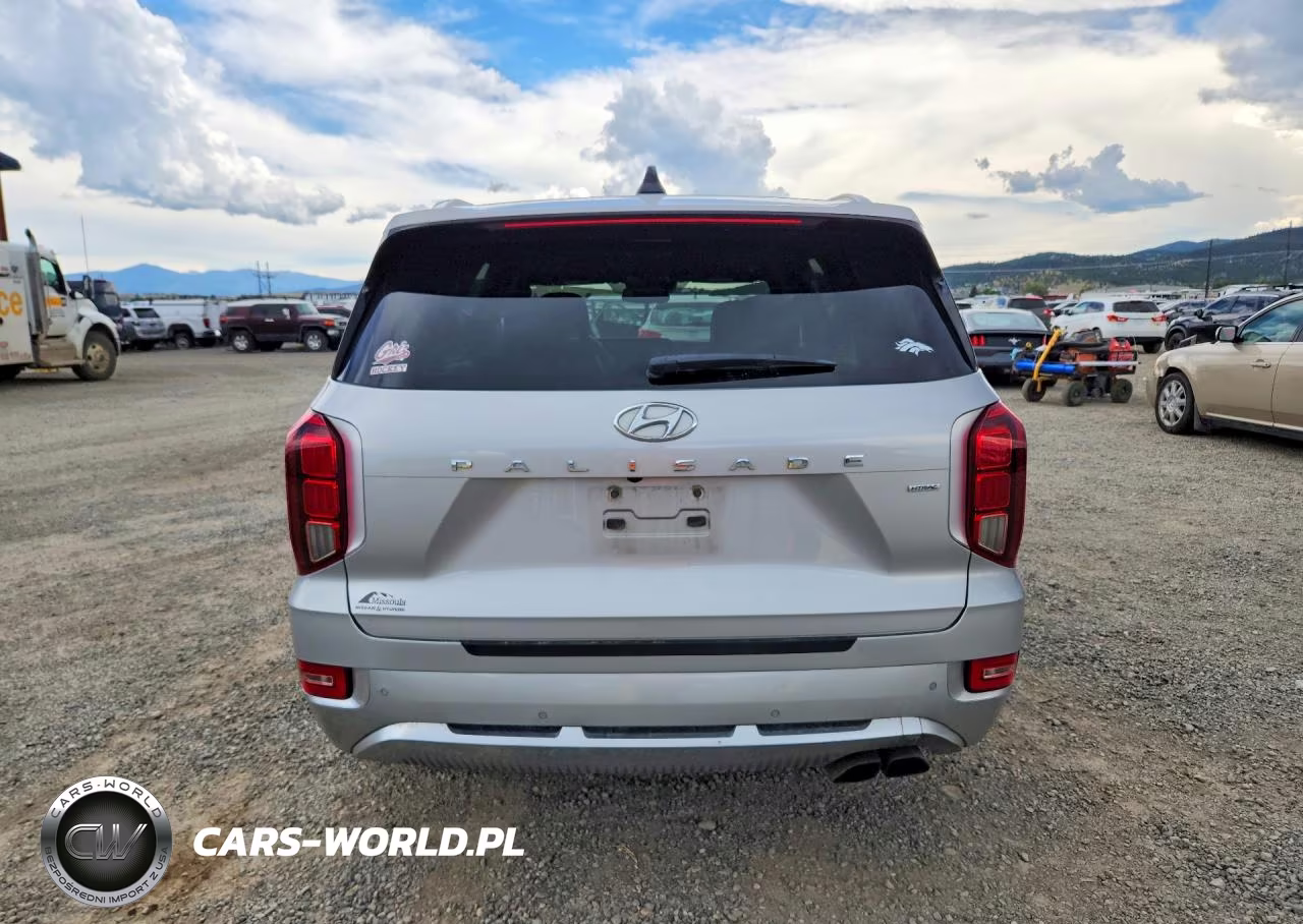 2021 Hyundai Palisade Calligraphy VIN:KM8R7DHE9MU308949 - 6