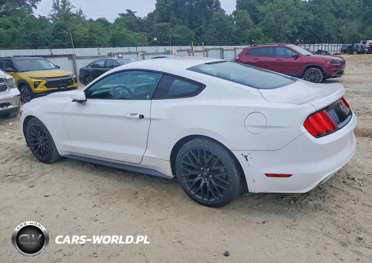 2017 Ford Mustang VIN:1FA6P8AM2H5276495 - 2