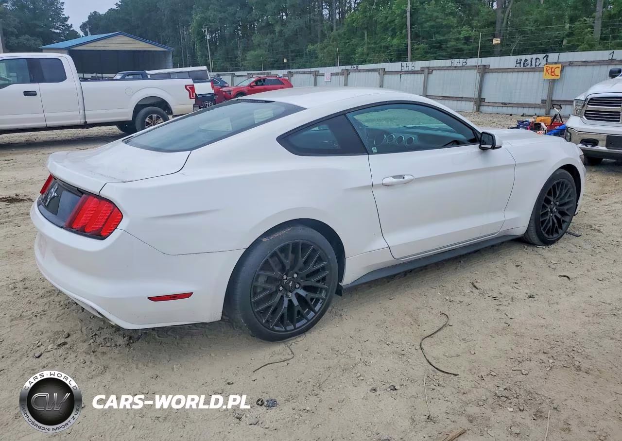 2017 Ford Mustang VIN:1FA6P8AM2H5276495 - 3