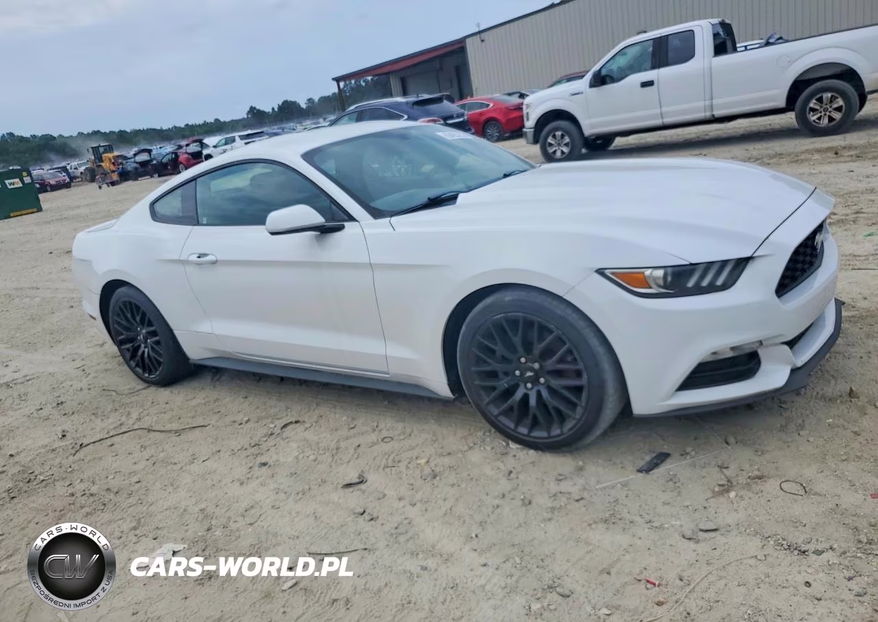 2017 Ford Mustang VIN:1FA6P8AM2H5276495 - 4