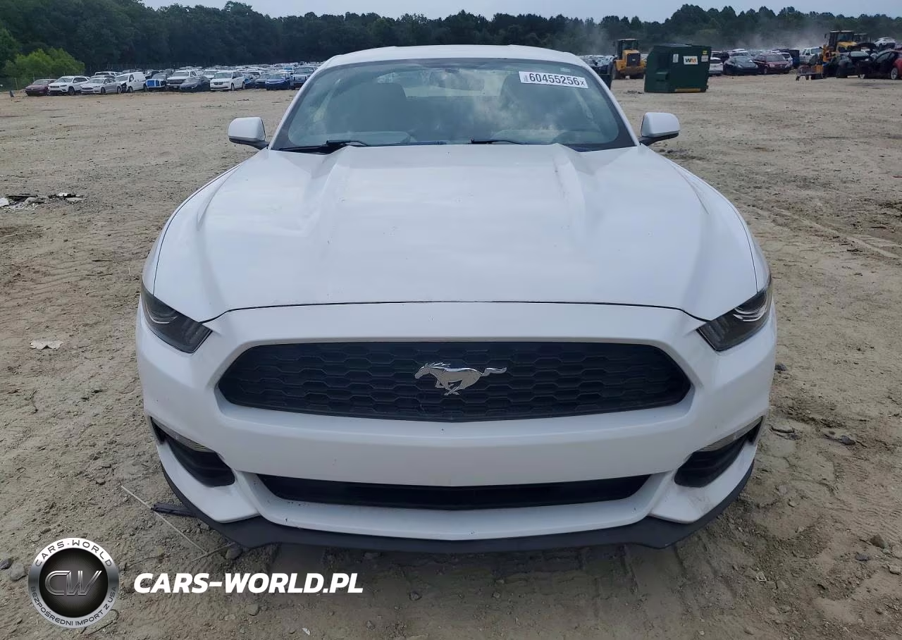 2017 Ford Mustang VIN:1FA6P8AM2H5276495 - 5
