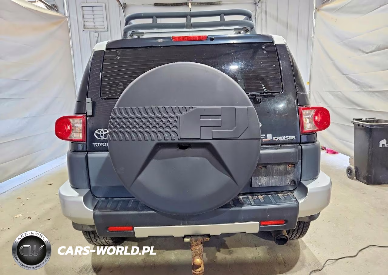 2010 Toyota Fj Cruiser Base VIN:JTEBU4BF2AK083941 - 6