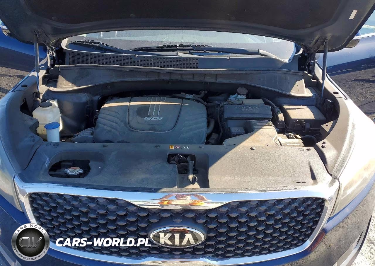 2016 Kia Sorento Lx V6 VIN:5XYPG4A5XGG162444 - 12