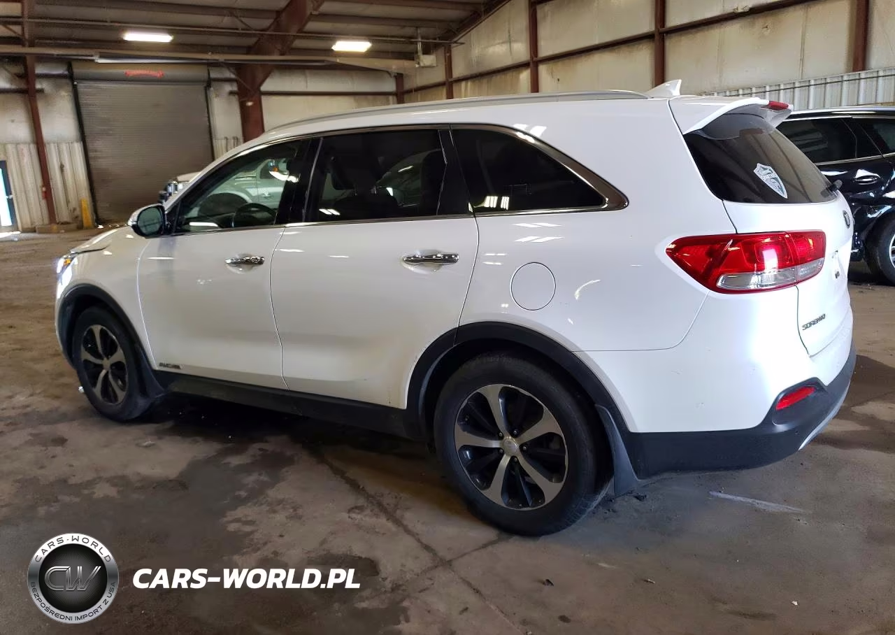 2017 Kia Sorento Ex VIN:5XYPHDA52HG289607 - 2