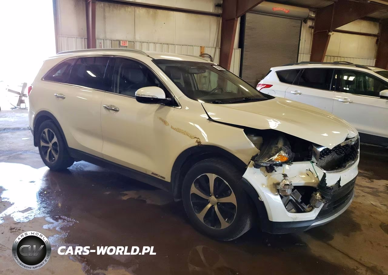 2017 Kia Sorento Ex VIN:5XYPHDA52HG289607 - 4