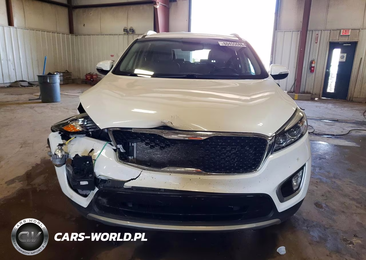 2017 Kia Sorento Ex VIN:5XYPHDA52HG289607 - 5