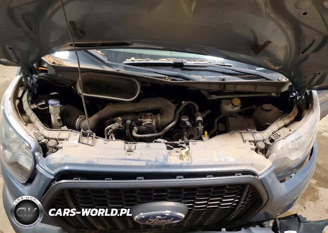 2021 Ford Transit Delivery Truck VIN:1FDDF6P89MKA17190 - 12