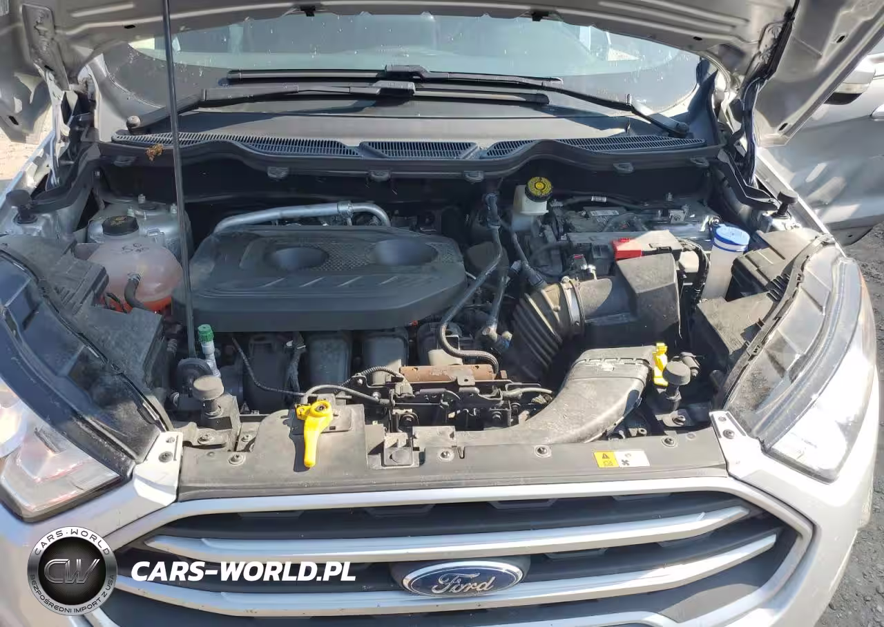 2019 Ford Ecosport Se VIN:MAJ6S3GL4KC284536 - 12