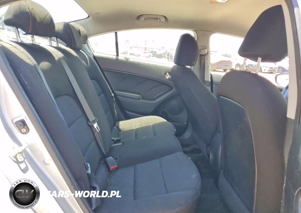 2016 Kia Forte Lx VIN:KNAFK4A6XG5616149 - 10